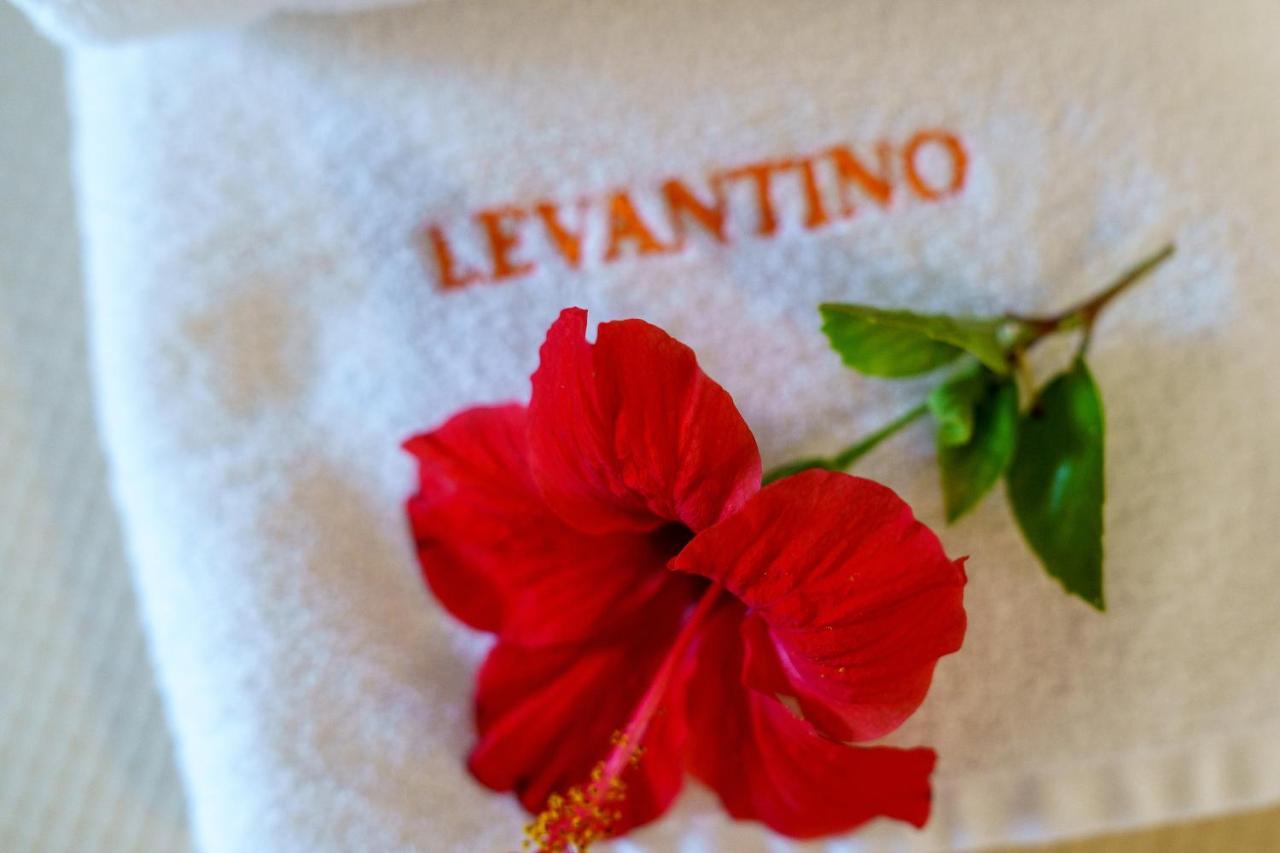 Levantino & Hotel apartamentowy Vasilikí